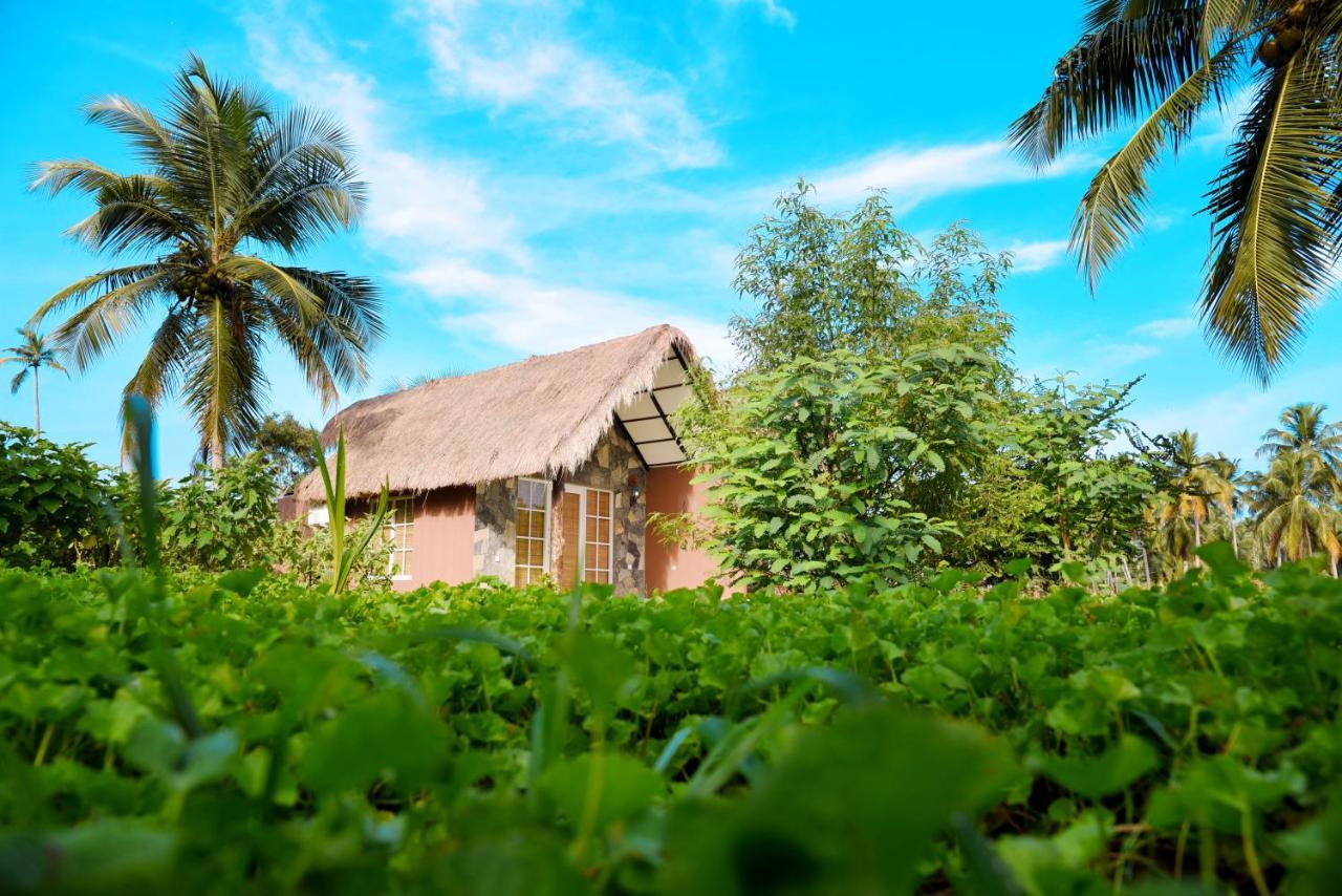 Coco Village Hotel Chilaw Bangadeniya Luaran gambar